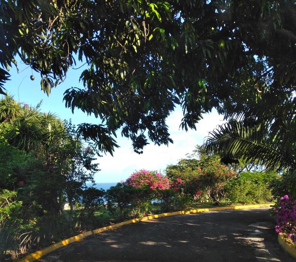 Irresistible View-Mobay Club 1408 Montego Bay Exterior foto