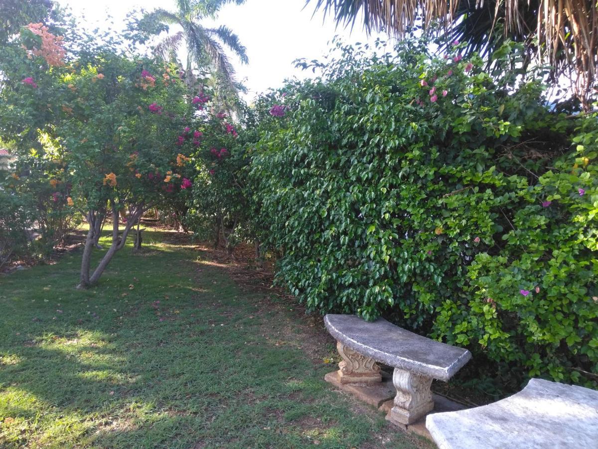 Irresistible View-Mobay Club 1408 Montego Bay Exterior foto