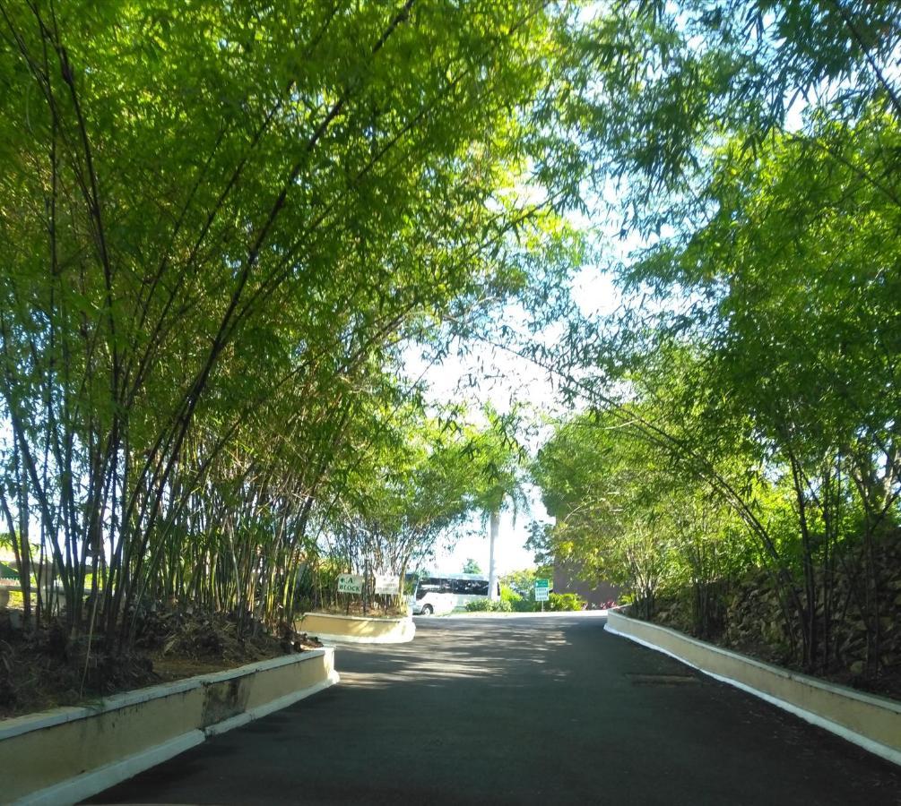 Irresistible View-Mobay Club 1408 Montego Bay Exterior foto