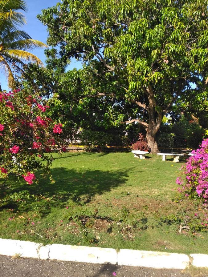 Irresistible View-Mobay Club 1408 Montego Bay Exterior foto
