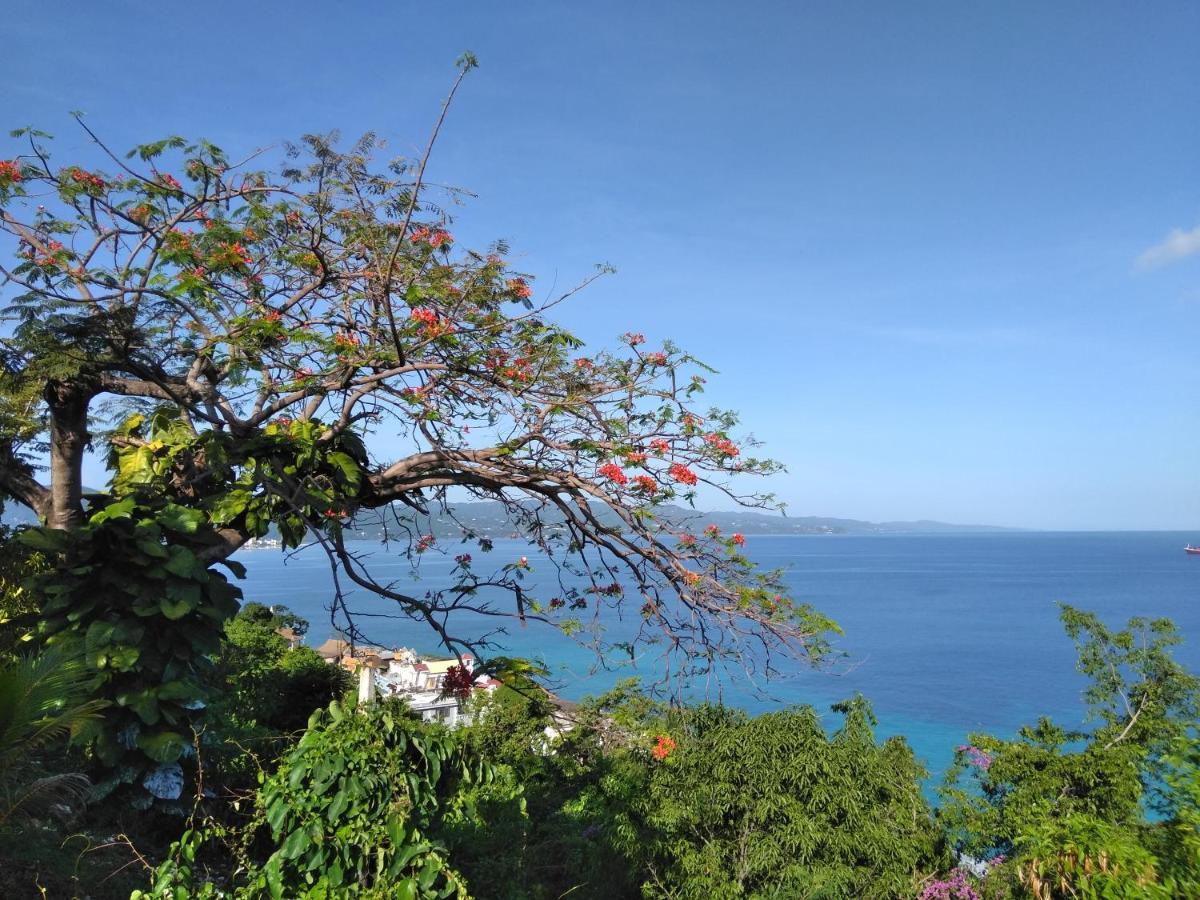 Irresistible View-Mobay Club 1408 Montego Bay Exterior foto